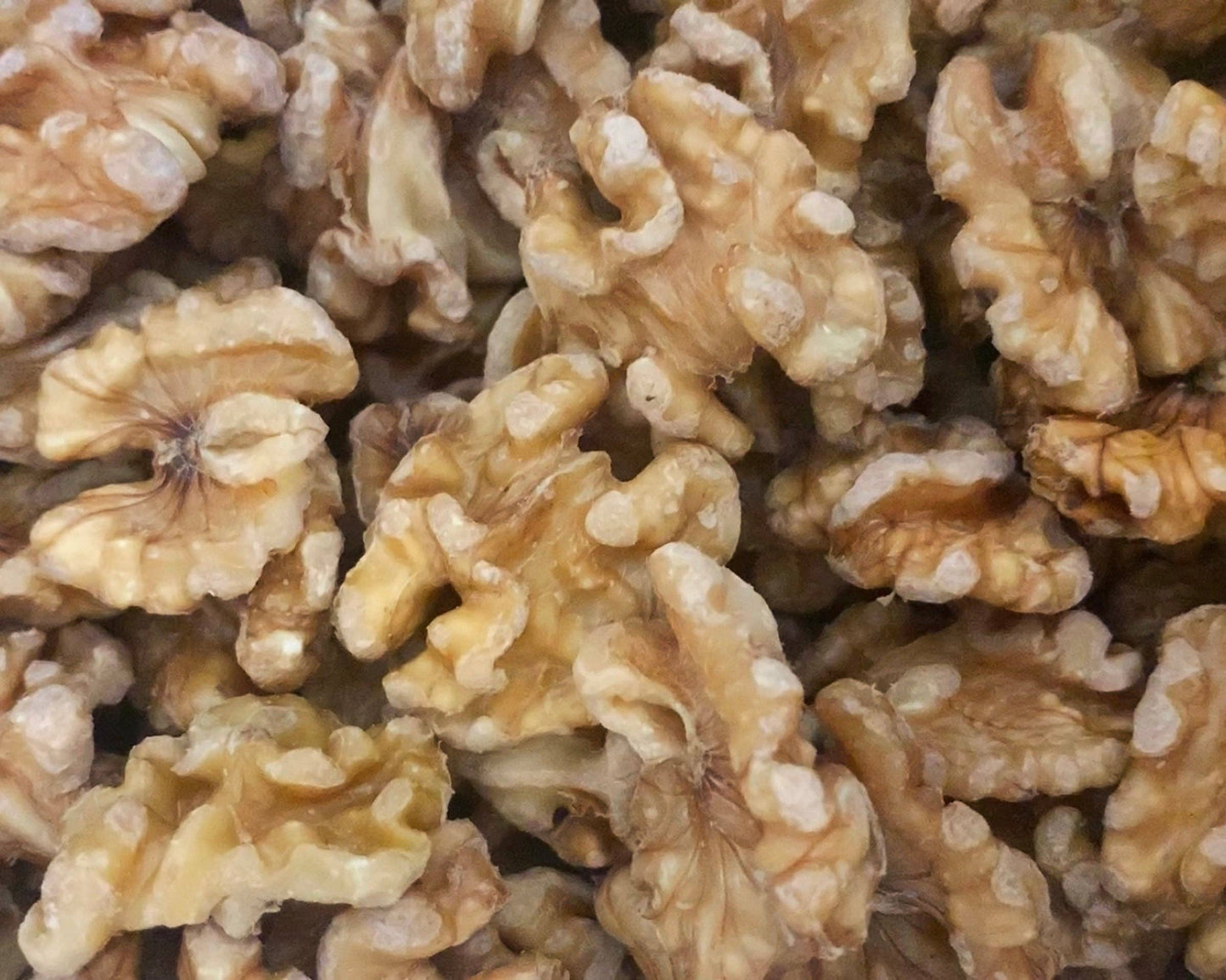 Organic Sprouted Walnuts